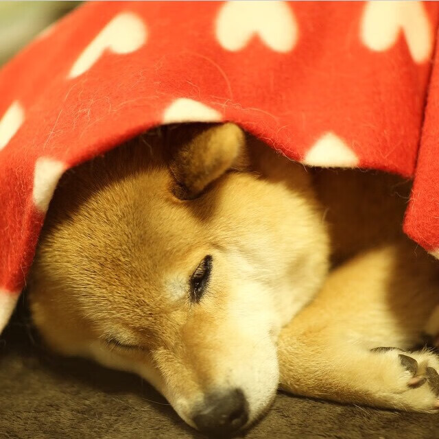 华体会登陆-跨界绝杀,当棋盘上的尼日利亚遇见赛道上的基耶萨 第2张 华体会登陆-跨界绝杀,当棋盘上的尼日利亚遇见赛道上的基耶萨 第2张