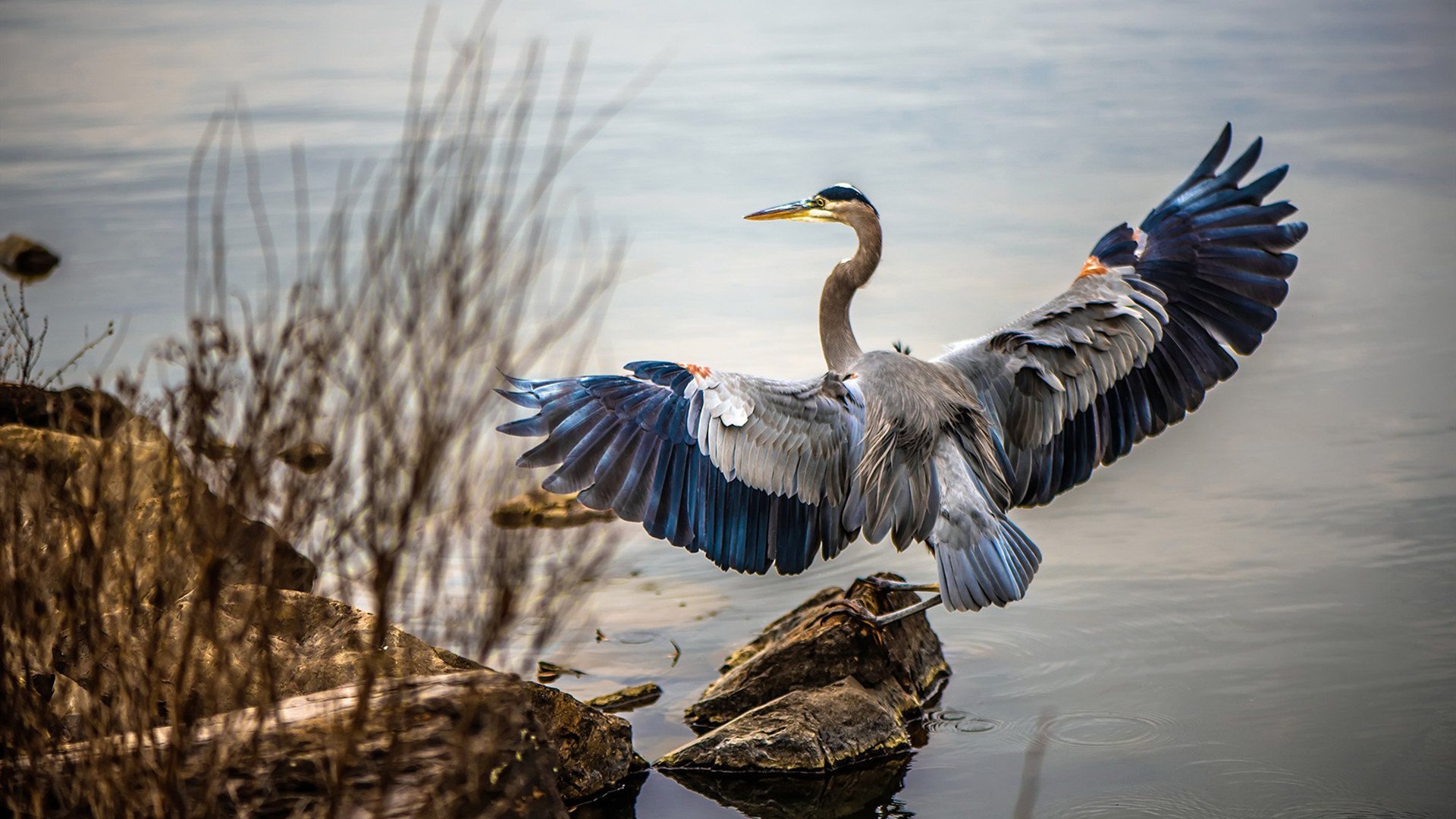 华体会-绿茵场上的篮球魂，76人拿下凯尔特人，塔图姆在意甲式焦点战中接管比赛  第1张