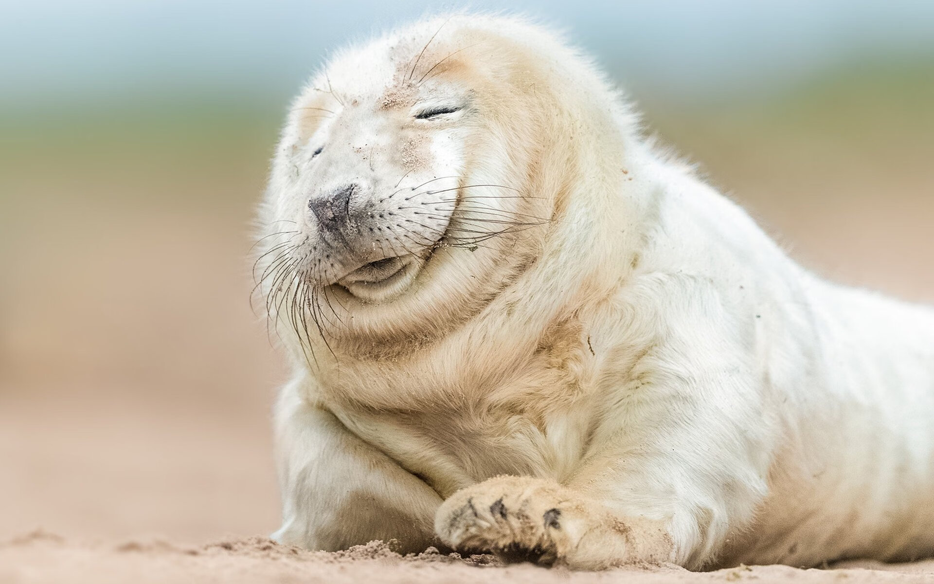 华体会体育-铜墙铁壁定江山,摩纳哥式防守哲学如何启示德甲争冠终局战 第1张 华体会体育-铜墙铁壁定江山,摩纳哥式防守哲学如何启示德甲争冠终局战 第1张