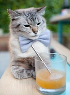 华体会体育-上海滩的孤注一掷，当血拼的上海队遇上非卖的奇才，伦纳德在末节证明何为唯一  第1张